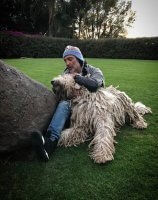 Acusan a Alejandro Fernández de maltrato animal