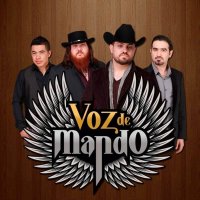 Voz de Mando confirma problemas para adquirir visas