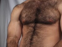 Hombres con pelo en pecho son…..