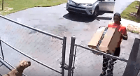 Amazon despide a un repartidor por tirar paquete encima de un perro