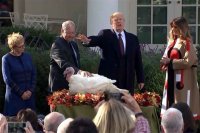 Trump perdona a los pavos “Carrot y Peas”