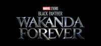 BLACK PANTHER: WAKANDA FOREVER EN CINES EL 11 DE NOVIEMBRE